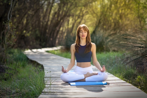 Joven hermosa mujer haciendo yoga en la naturaleza