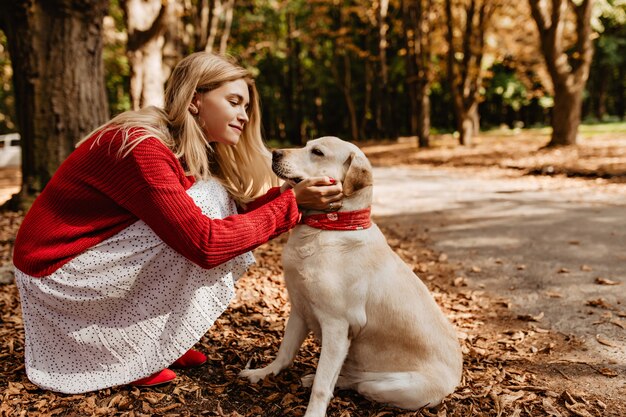 Joven hermosa rubia en un bonito suéter rojo sosteniendo tiernamente a su labrador blanco en el parque. Chica guapa en vestido de moda pasando un buen rato con la mascota en otoño.