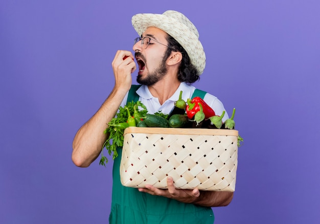 Joven jardinero barbudo hombre vestido con mono y sombrero sosteniendo cajón lleno de verduras mordiendo tomate de pie sobre la pared azul