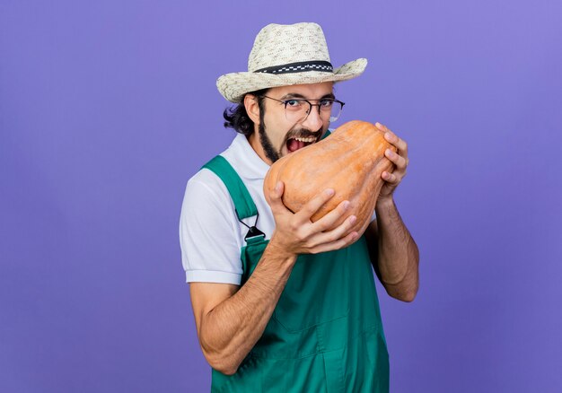 Joven jardinero barbudo hombre vestido con mono y sombrero sosteniendo calabaza va a morder de pie sobre la pared azul