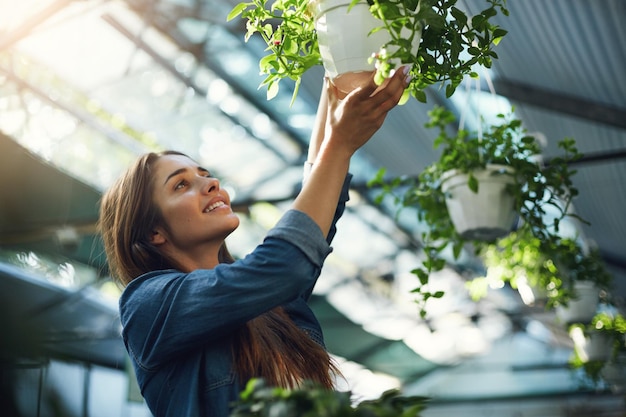 Joven jardinero colgando plantas en su florería de efecto invernadero operada por su dueño