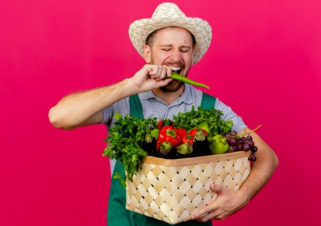 Joven jardinero eslavo guapo en uniforme y sombrero sosteniendo una cesta de verduras mordiendo pimienta aislado en la pared carmesí