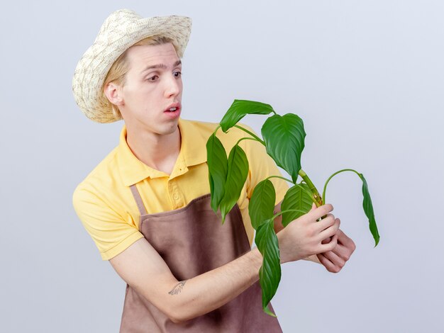 Joven jardinero hombre vestido con mono y sombrero sosteniendo la planta mirando intrigado