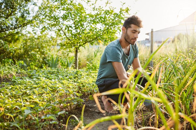 Joven jardinero masculino caucásico maduro guapo en camiseta azul y pantalones deportivos trabajando en el jardín cerca de la casa de campo