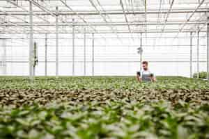 Foto gratuita joven jardinero de pie en invernadero