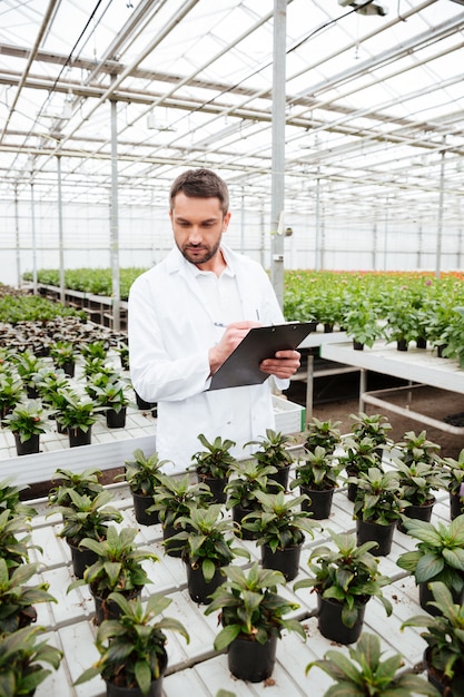 Joven jardinero trabajando con plantas en invernadero