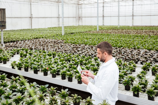 Joven jardinero trabajando con plantas en invernadero