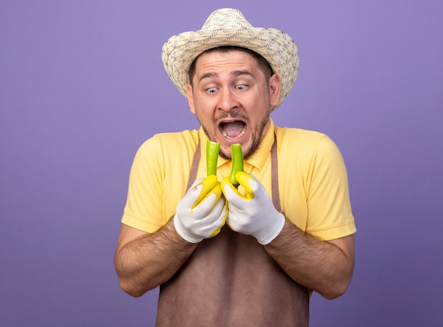 Joven jardinero vistiendo mono y sombrero en guantes de trabajo sosteniendo ají verde roto mirándolo estar conmocionado de pie sobre la pared púrpura