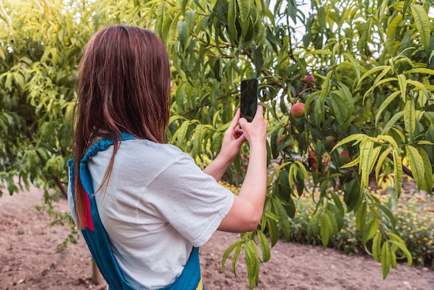 Joven mujer caucásica tomando una foto de melocotones en árboles