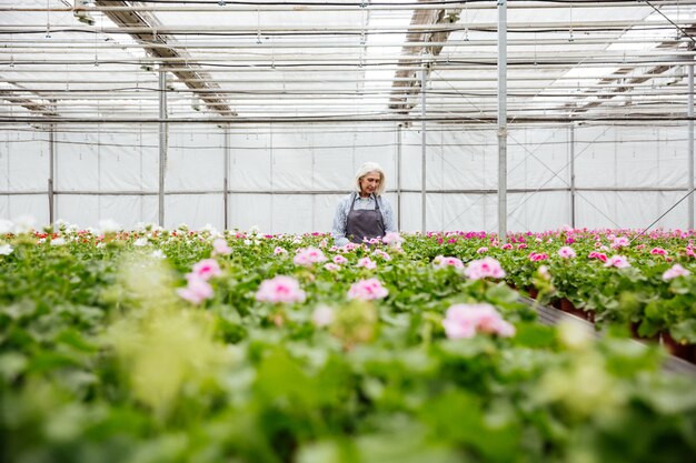 Joven mujer madura trabajando con plantas en invernadero