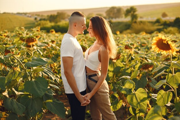 Joven pareja amorosa se besa en un campo de girasoles. Retrato de pareja posando en verano en campo.