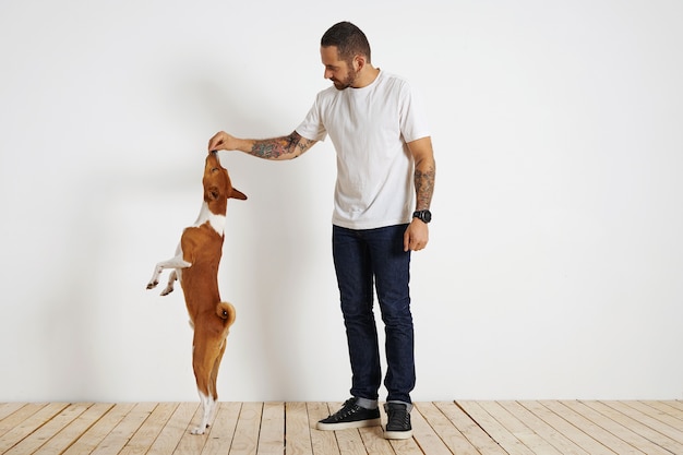 Un joven perro basenji marrón y blanco está de pie muy alto sobre sus patas traseras mientras su dueño barbudo y tatuado lo motiva ofreciéndole una golosina en el aire.