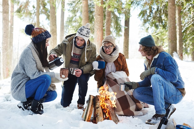 Foto gratuita jóvenes acampando en bosque de invierno