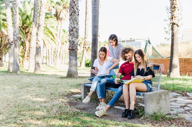 Jóvenes estudiando en el parque