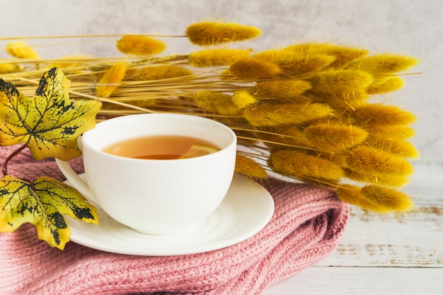 Juego de té con bebidas cerca de ramas de otoño