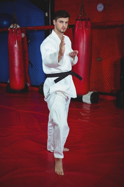 Foto gratuita jugador de karate realizando postura de karate