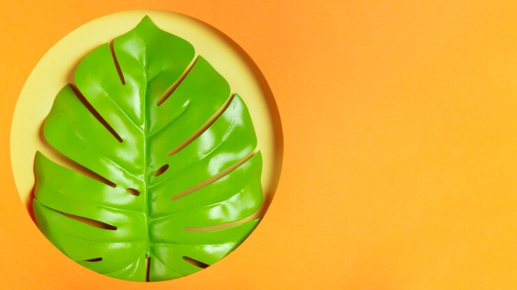 Photo Gratis karya seni ruang salin dengan daun realistis