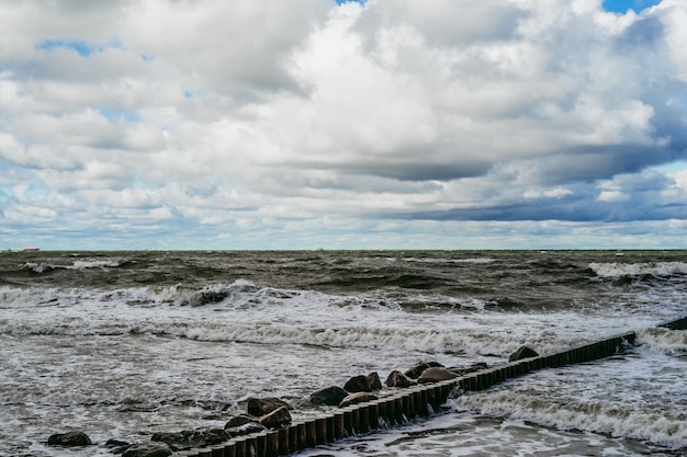 Foto gratuita kiting en el frío mar báltico