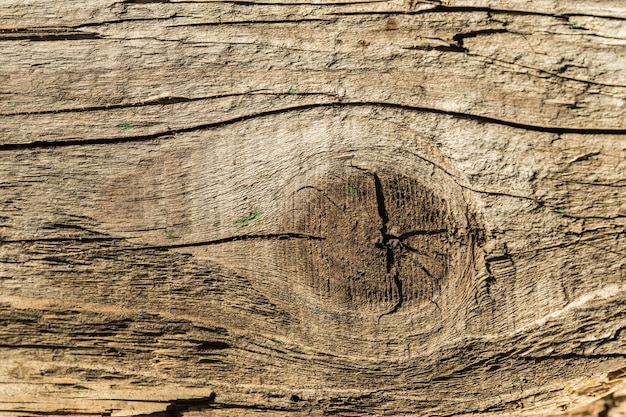 Ladrillo de madera agrietado