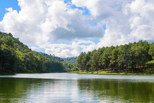 Lago con árboles a los lados