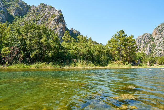 Lago con árboles en la otra orilla