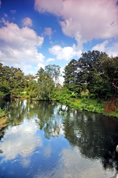 Lago con árboles