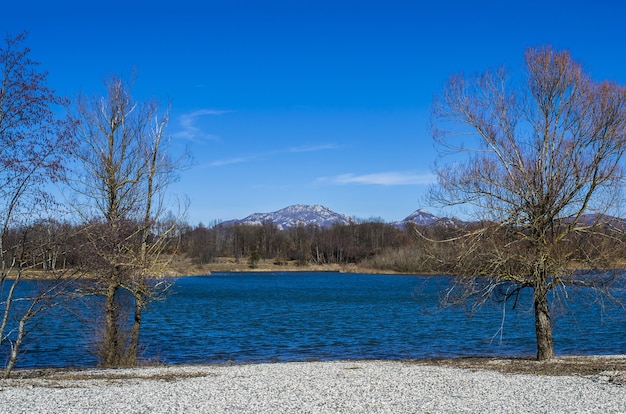 Lago azul con bosques y montañas durante el día.