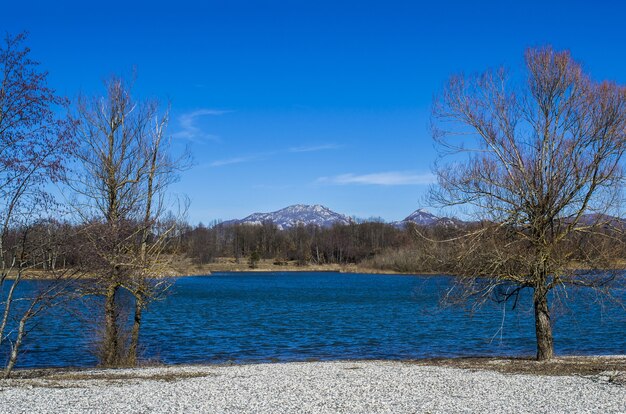 Lago azul con bosques y montañas durante el día.