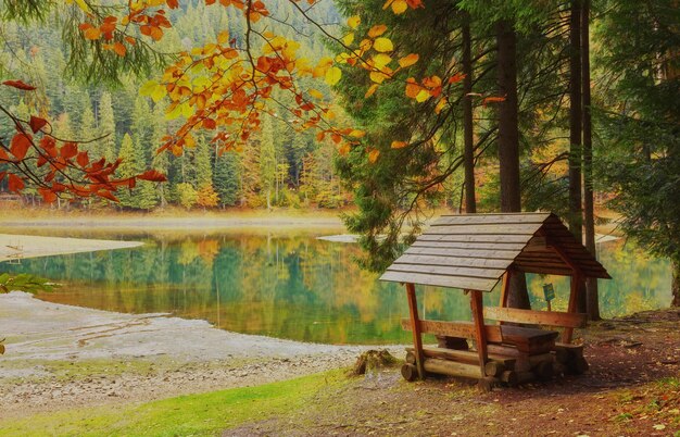 Lago en un bosque con cenador y pequeño muelle para catamarán a pedales de placer en la orilla del lago