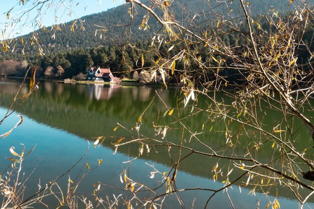 Lago y bosque en la montaña en la zona rural.