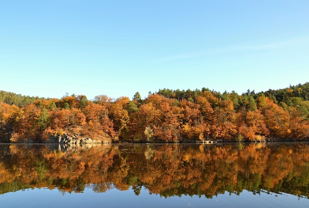 &quot;Lago y bosque de otoño&quot;