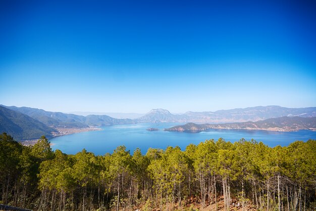 Lago en un bosque visto desde arriba