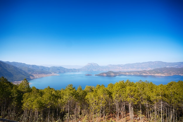 Lago en un bosque visto desde arriba