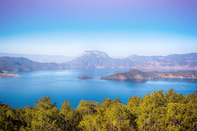 Lago en un bosque