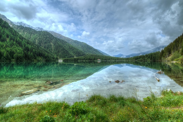 Foto gratuita lago cerca de la montaña cubierta de árboles