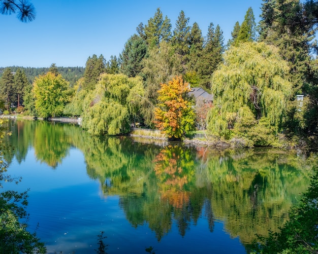 Lago claro con reflejo de nubes rodeado de bosque