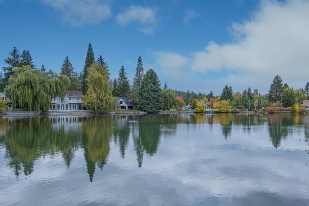 Lago claro con reflejo de nubes rodeado de bosque