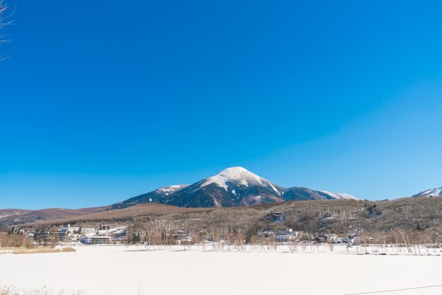 lago congelado en el invierno