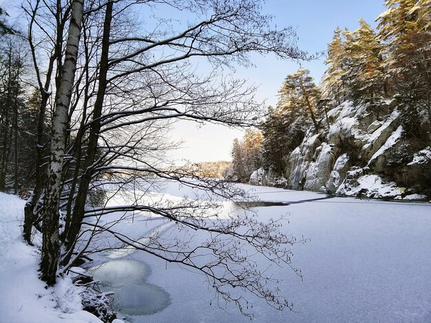 Lago congelado rodeado de rocas y árboles cubiertos de nieve bajo la luz del sol en Larvik en Noruega