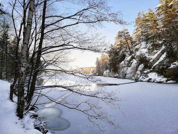 Lago congelado rodeado de rocas y árboles cubiertos de nieve bajo la luz del sol en Larvik en Noruega