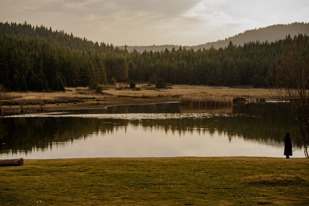 Lago escénico rodeado por un bosque alpino en un día nublado