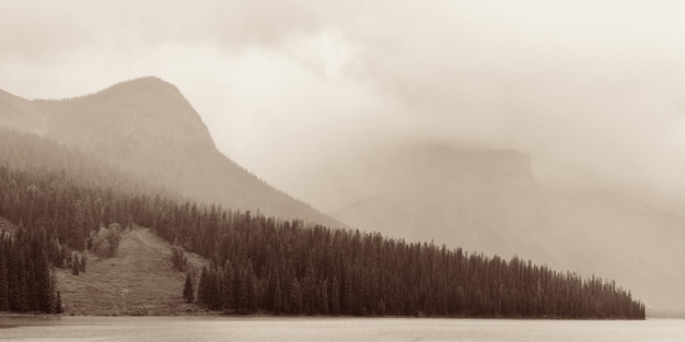 Foto gratuita lago esmeralda con niebla en el parque nacional yoho, canadá.