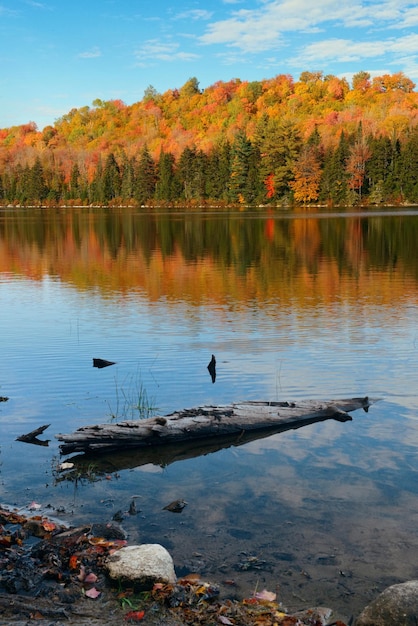 Lago con follaje otoñal, troncos de madera en la orilla y montañas con reflejo en New England Stowe