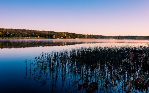 Lago con hierba que se refleja en el agua rodeada de bosques cubiertos de niebla durante el atardecer