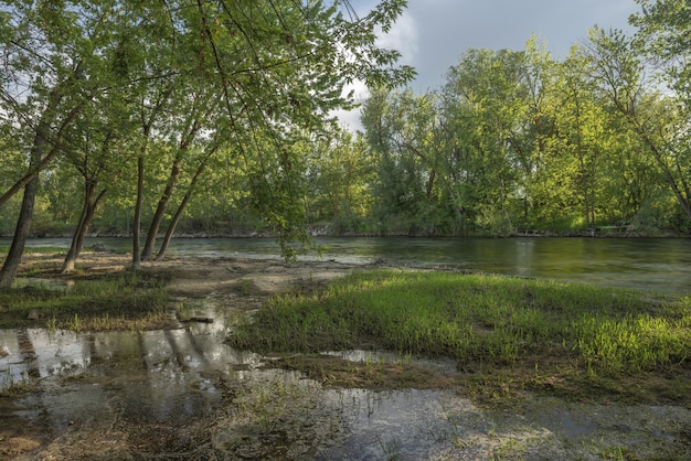 Foto gratuita lago en medio de un bosque con árboles de hojas verdes bajo un cielo nublado