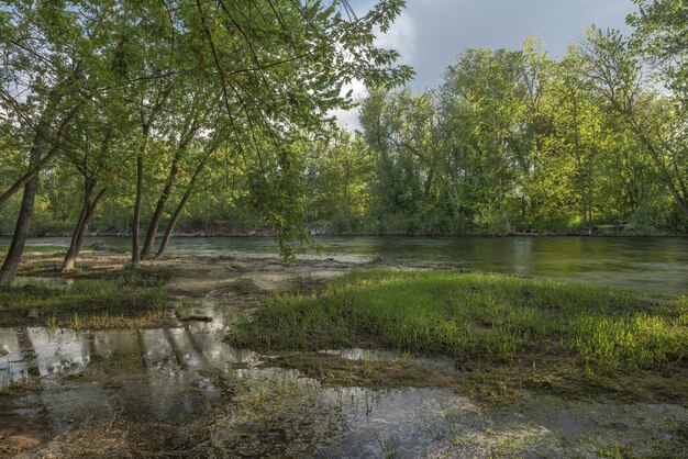 Lago en medio de un bosque con árboles de hojas verdes bajo un cielo nublado