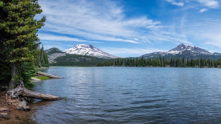 Foto gratuito lago en las montañas cerca del bosque.
