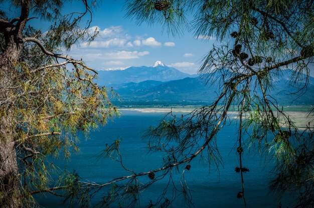 Lago y montañas vistos a través de las ramas de los árboles.