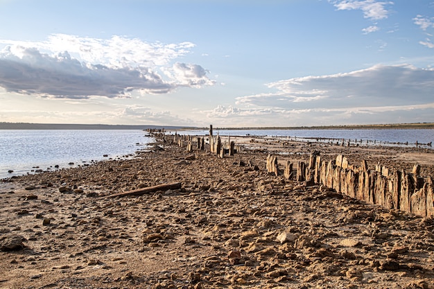 Un lago muerto y viejos troncos de sal asoman fuera del agua