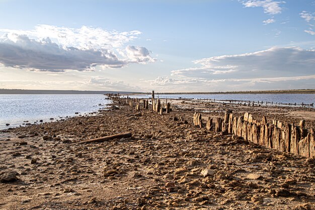 Un lago muerto y viejos troncos de sal asoman fuera del agua